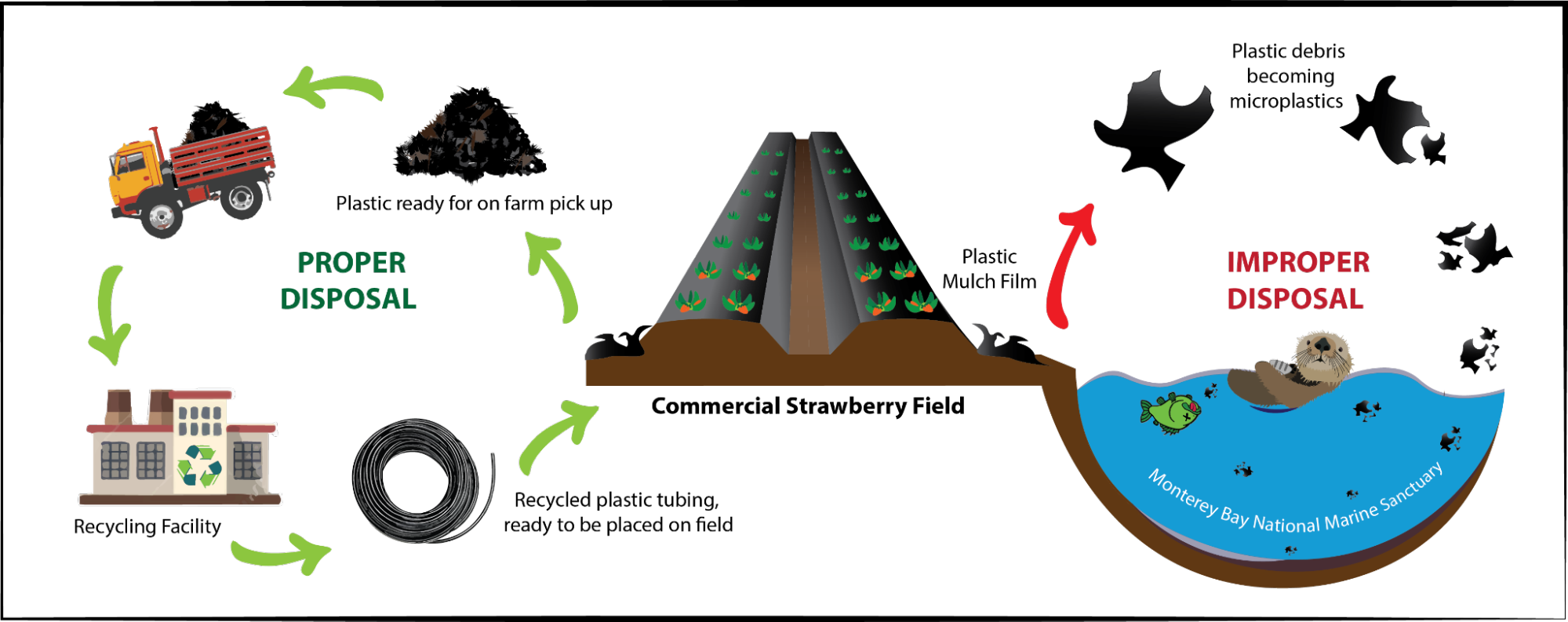 Plastic mulch recycling diagram.