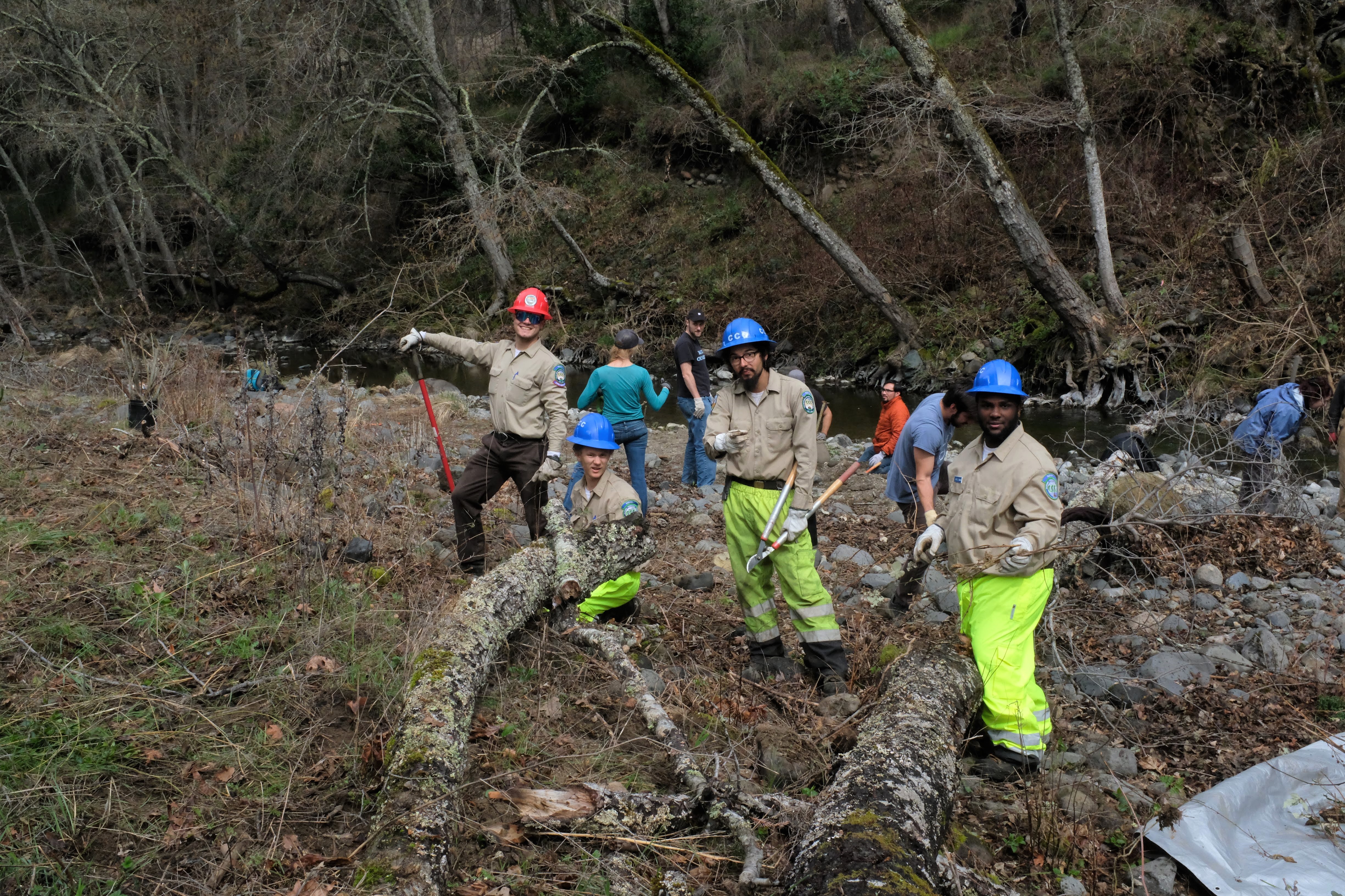 California Conservation Corps members from Ukiah removing invasive plants with style.