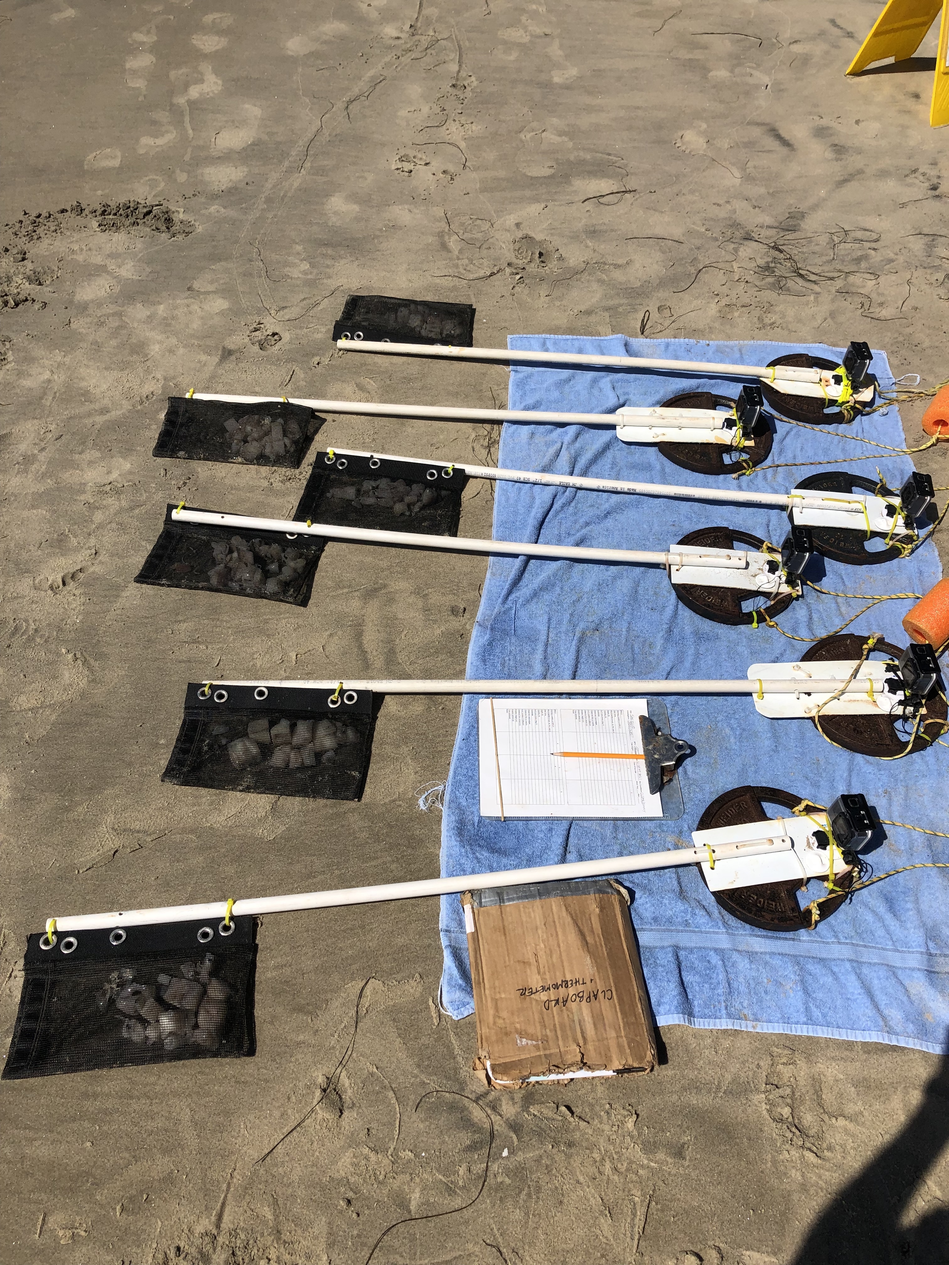 Tools and equipment used in the beach survey.