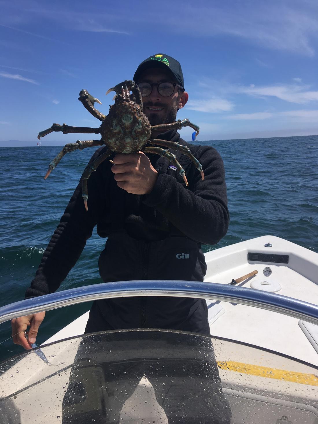 Person on a boat holding a sheep crab.