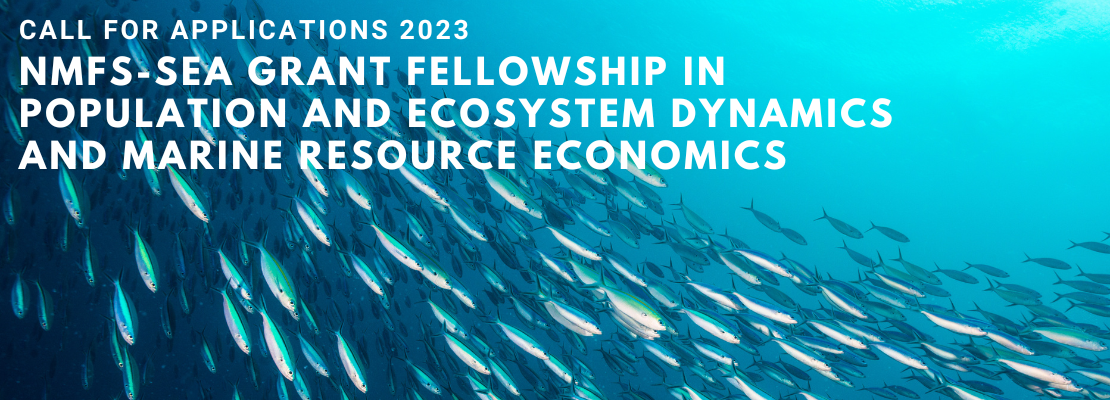 A school of fish swim through the ocean. Text says: Call for Applications 2023, NMFS-Sea Grant Fellowship
