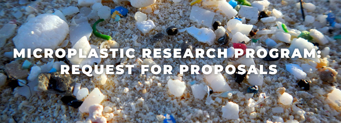 microplastics in the sand behind the words Microplastic Research Program: Request for Proposals