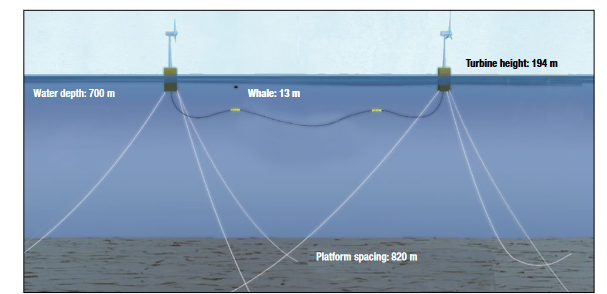 Image from an animation of a 13m whale transiting a floating offshore wind farm