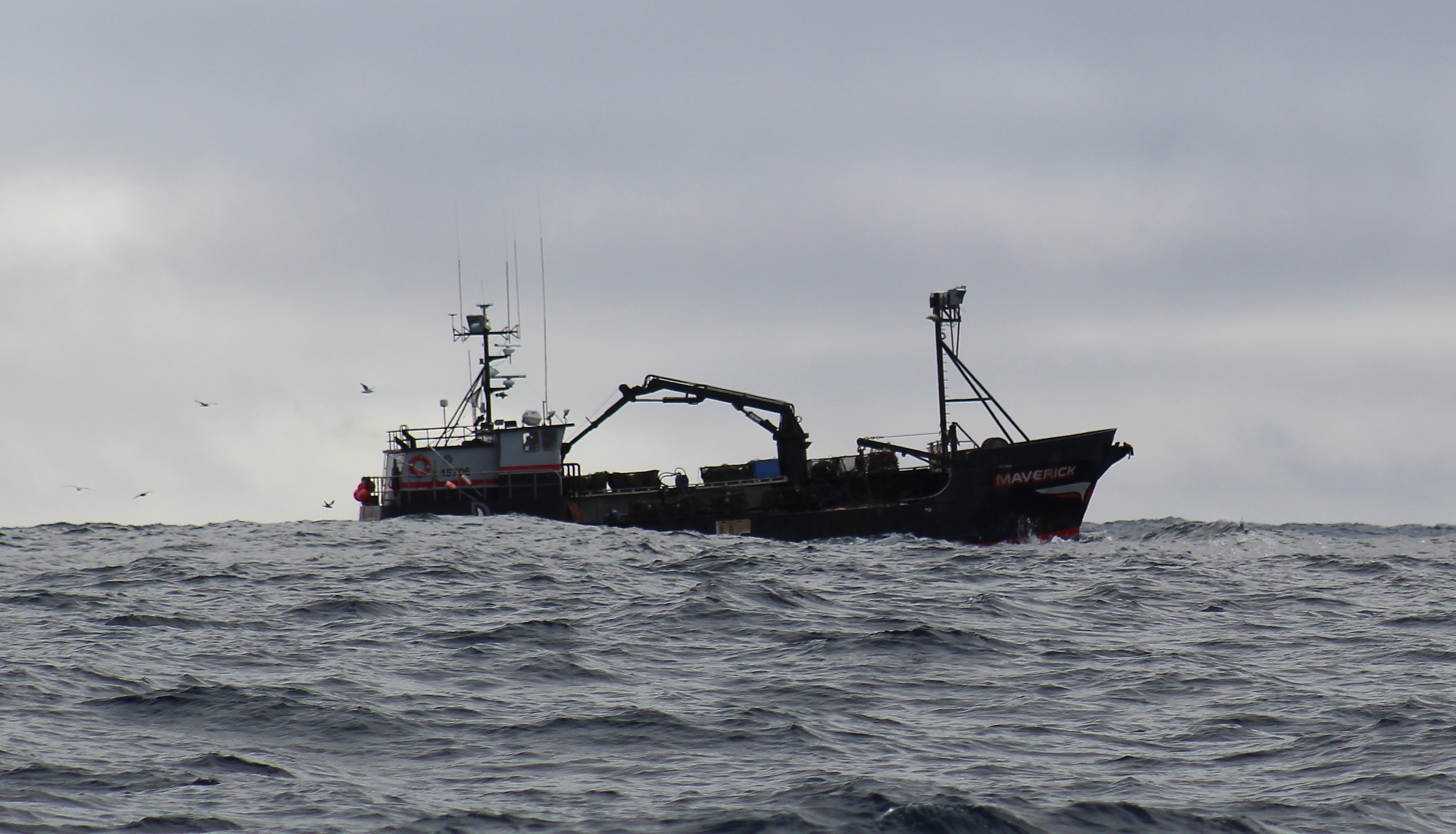 Jon. D. Anderson./flickr pelagic longline fishing vessel