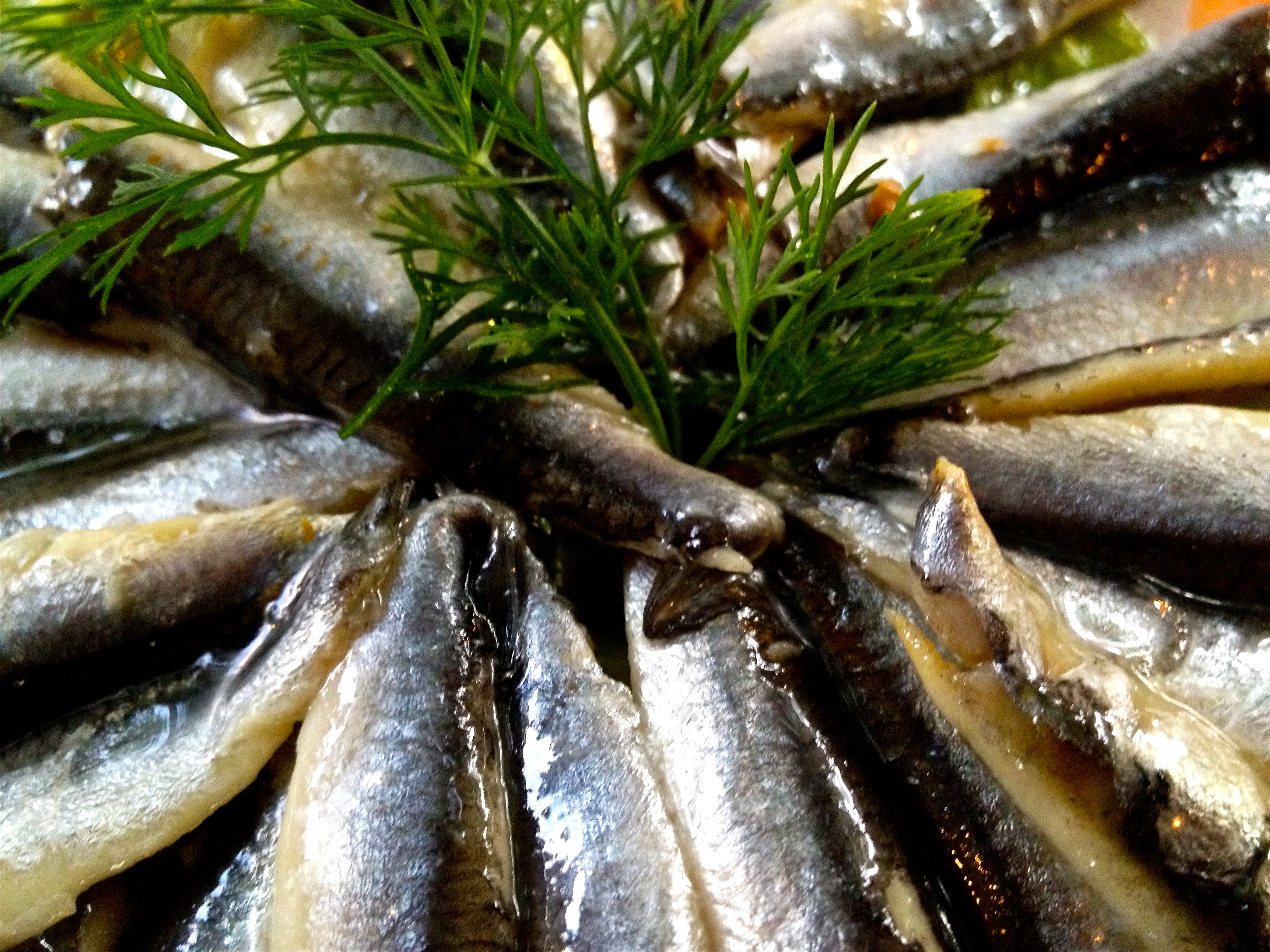 Stijn Nieuwendijk/flickr anchovies in oil with dill garnish