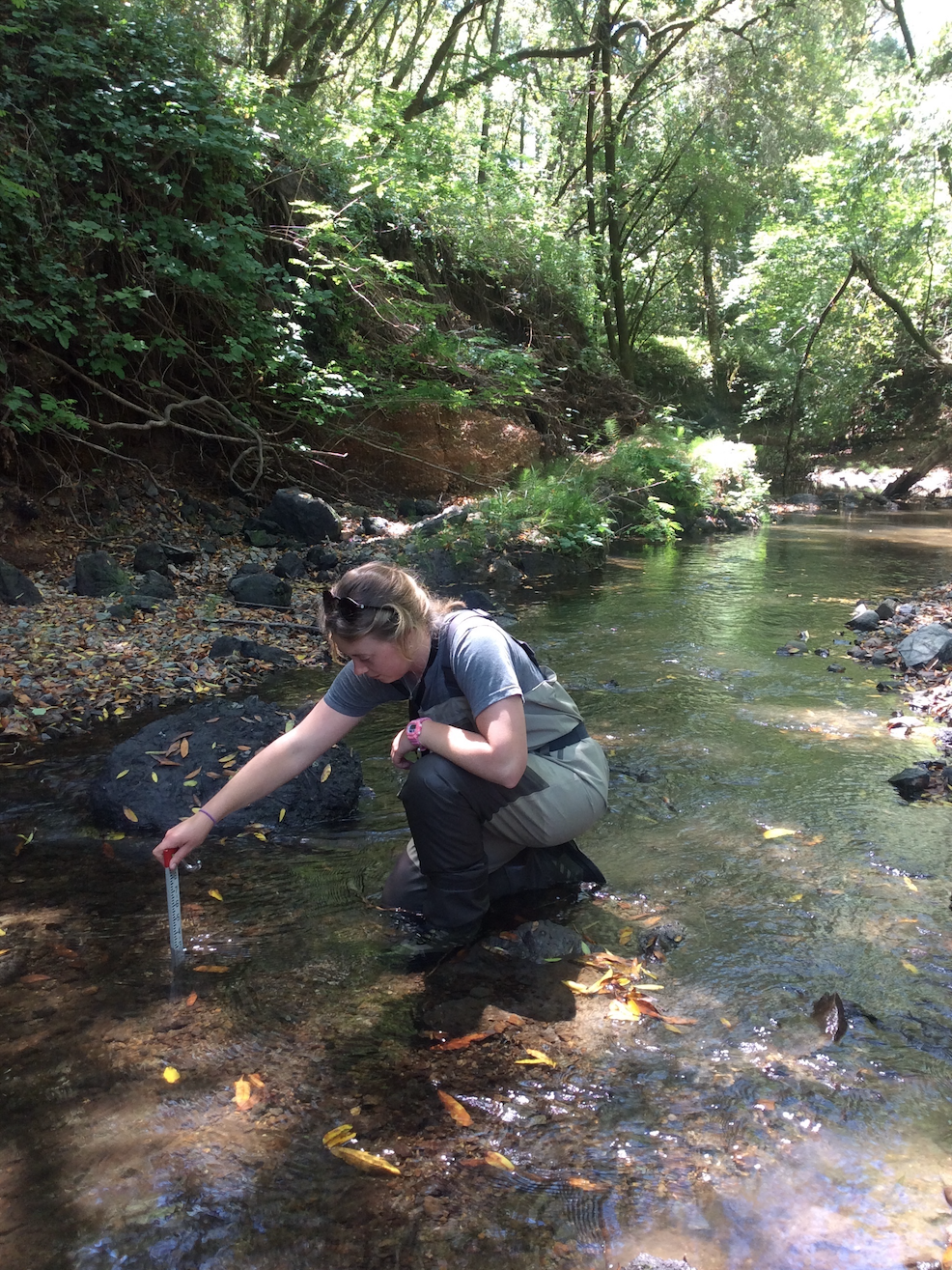 Measuring a Pool Tail Crest in Green Valley Creek. Photo by Troy Cameron.