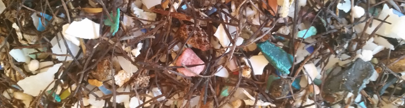 Photo: Microplastics