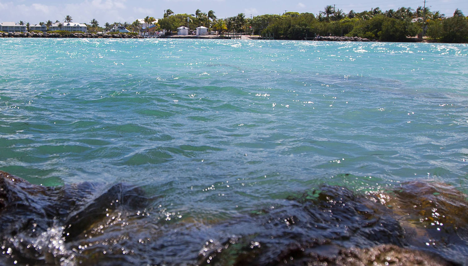 Photo: Water Watch Program