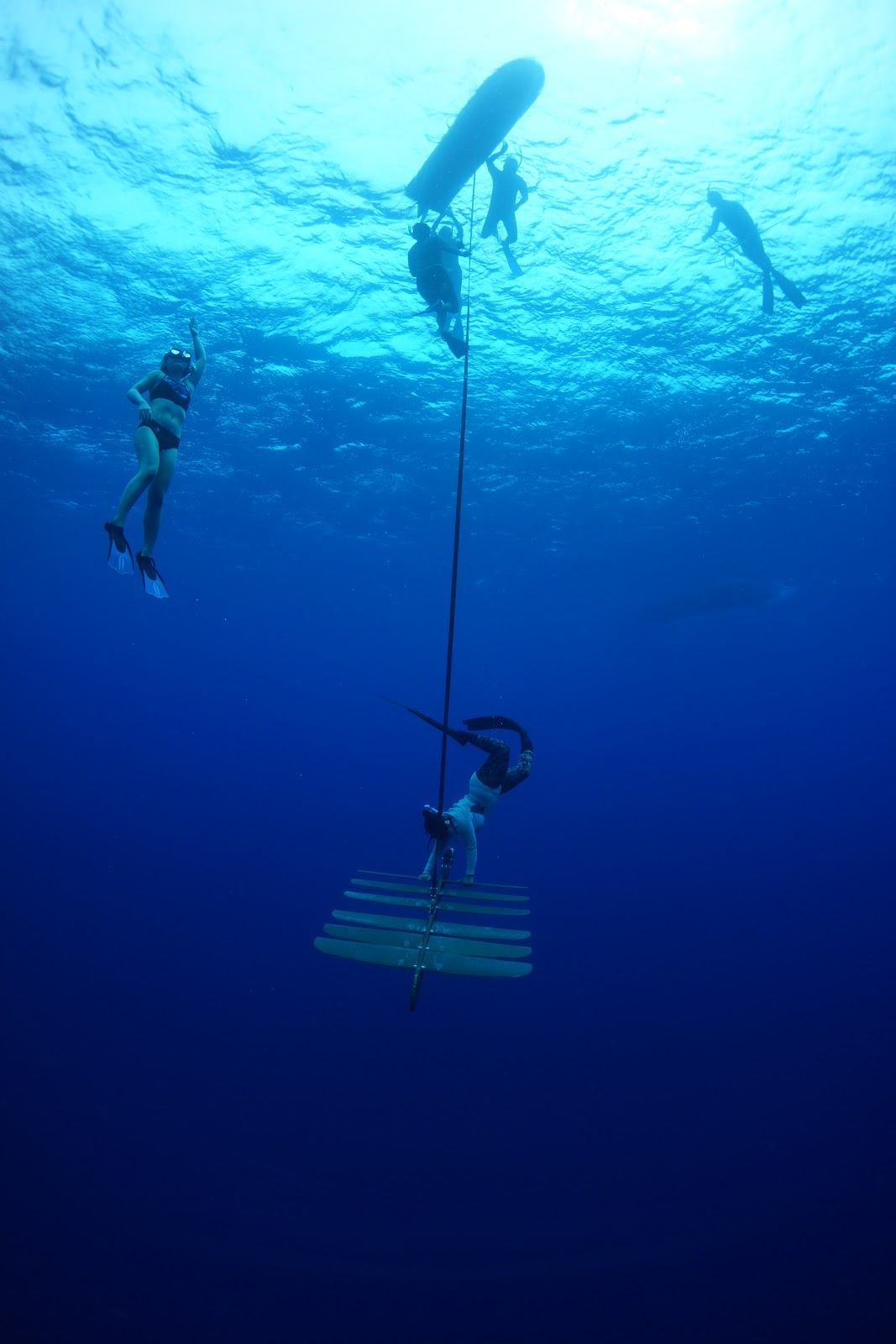 Flo freediving in Hawai’i while training how to use the wave glider with the team from the University of the Philippines.