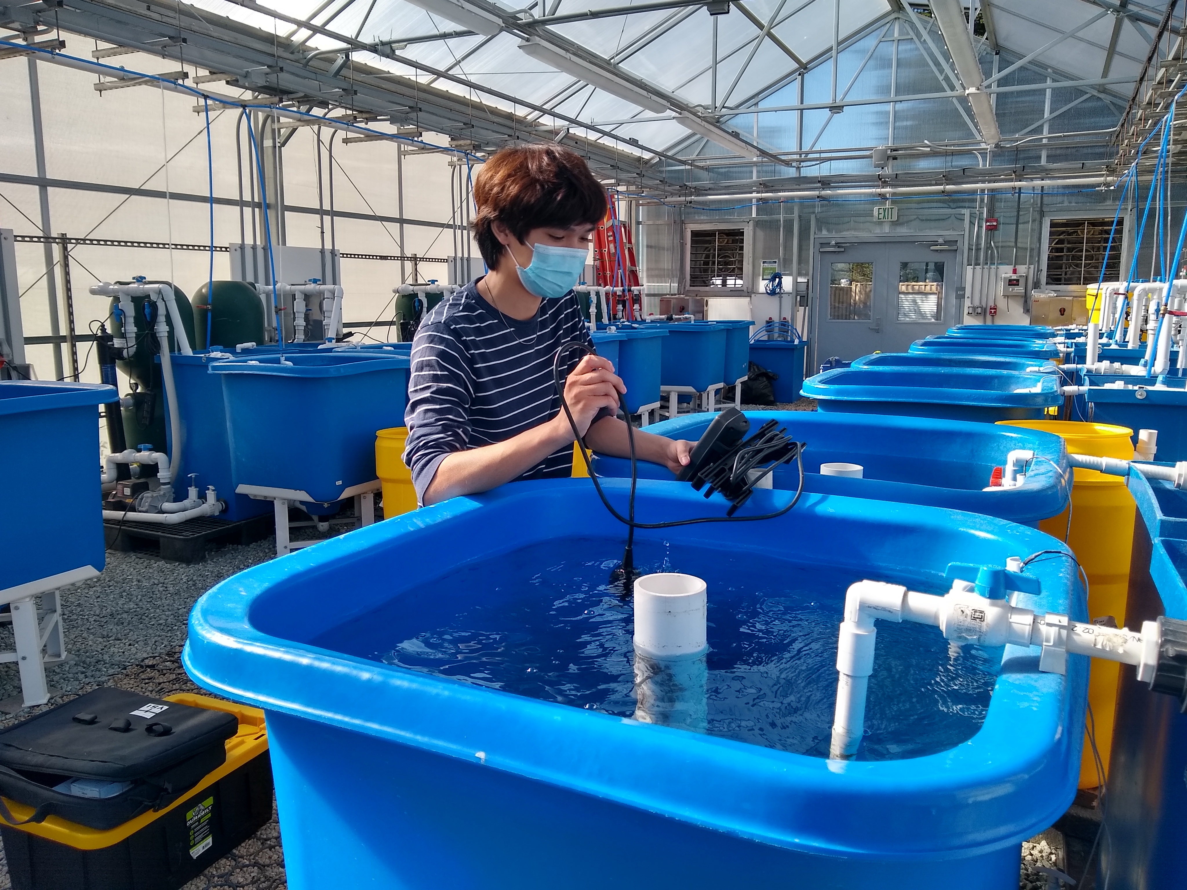 students and our lab manager are setting up and taking water quality parameters in the ecological aquaculture greenhouse.