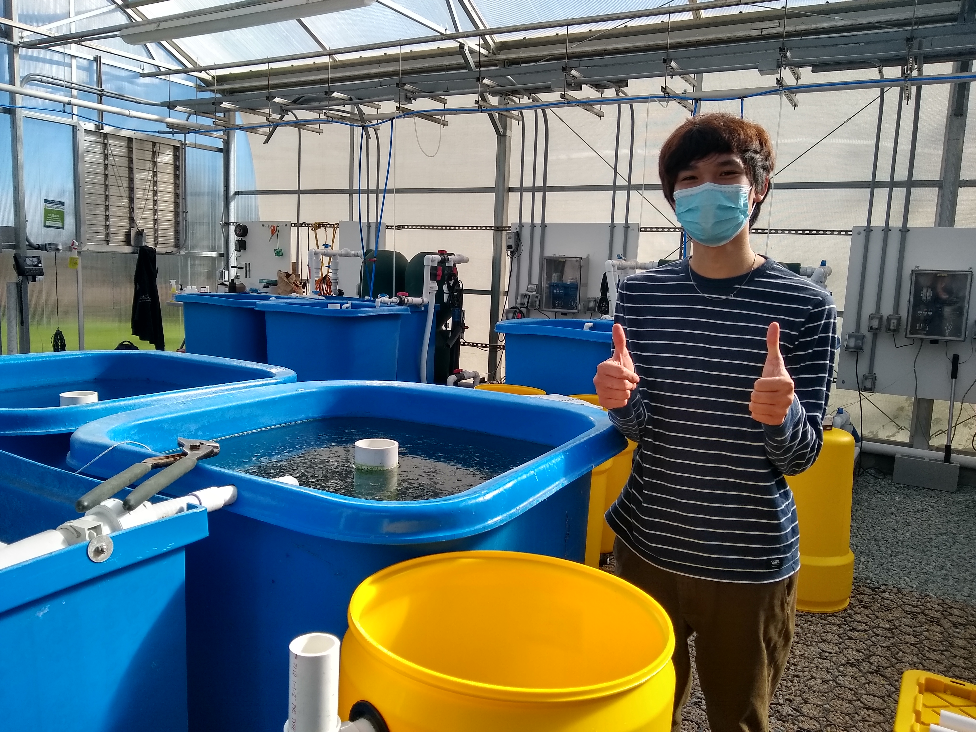 Students and our lab manager are setting up and taking water quality parameters in the ecological aquaculture greenhouse to start an experiment with live rainbow trout soon.