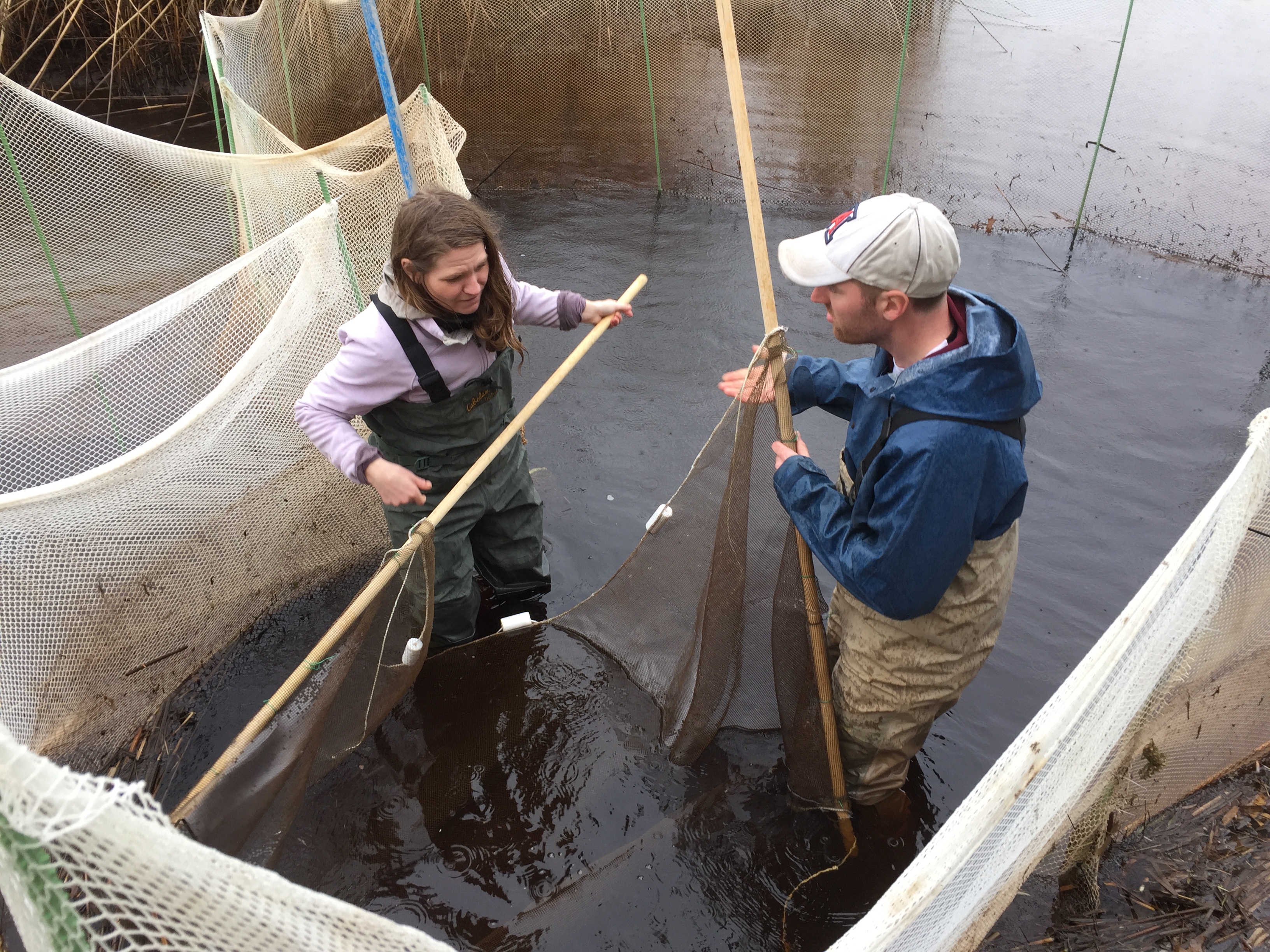 two people holding a net in the water