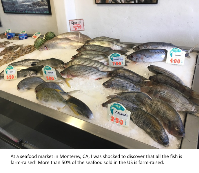 Seafood market in Monterey, CA