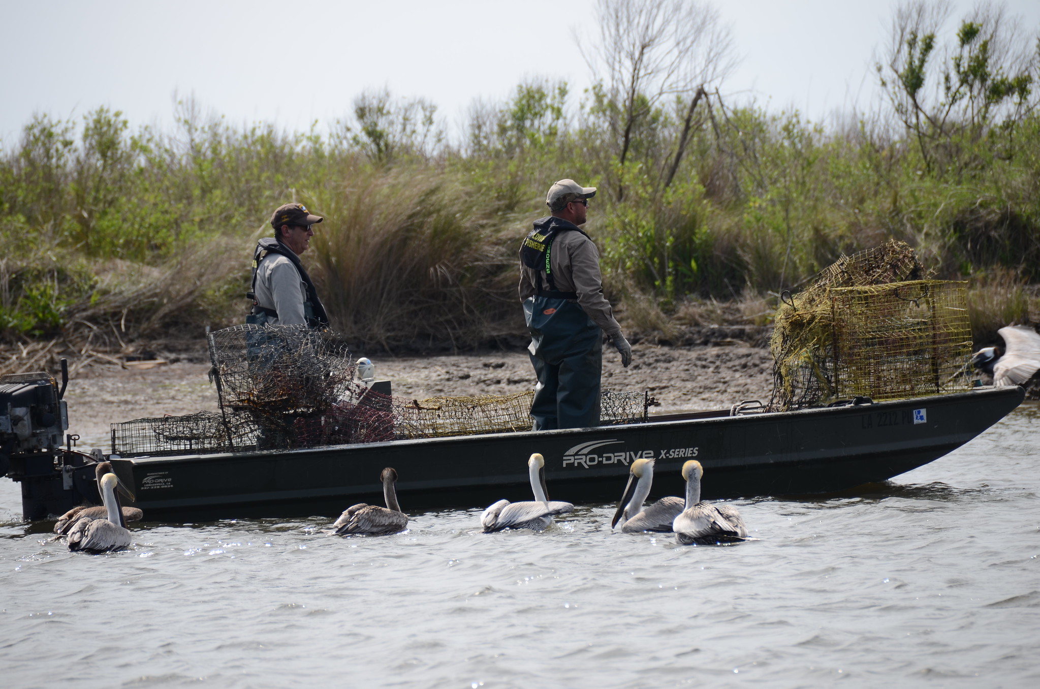 Photo: Crab Trap Rodeos