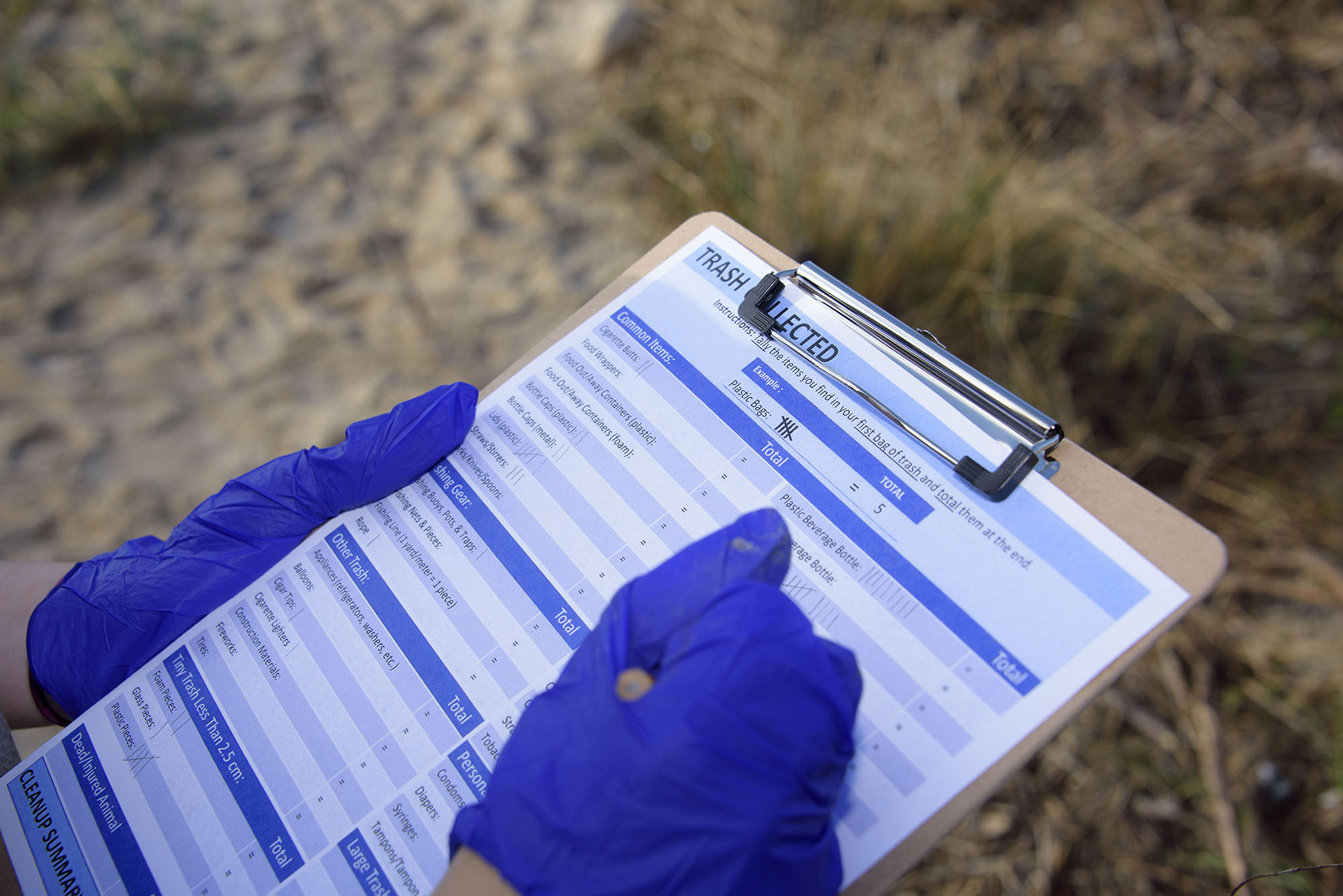 Photo: MS Beach Cleanup