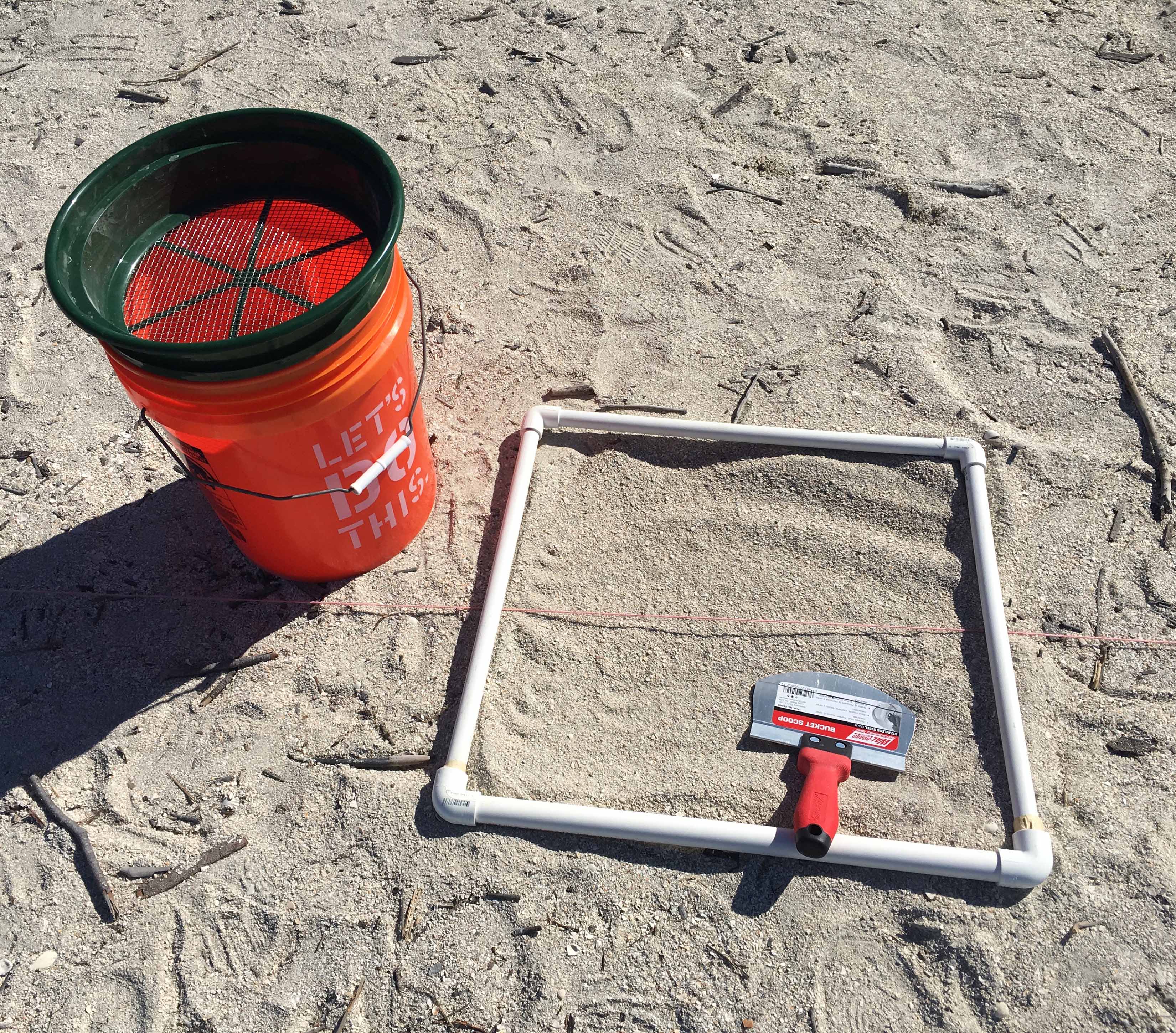 Photo: Marine Debris Monitoring