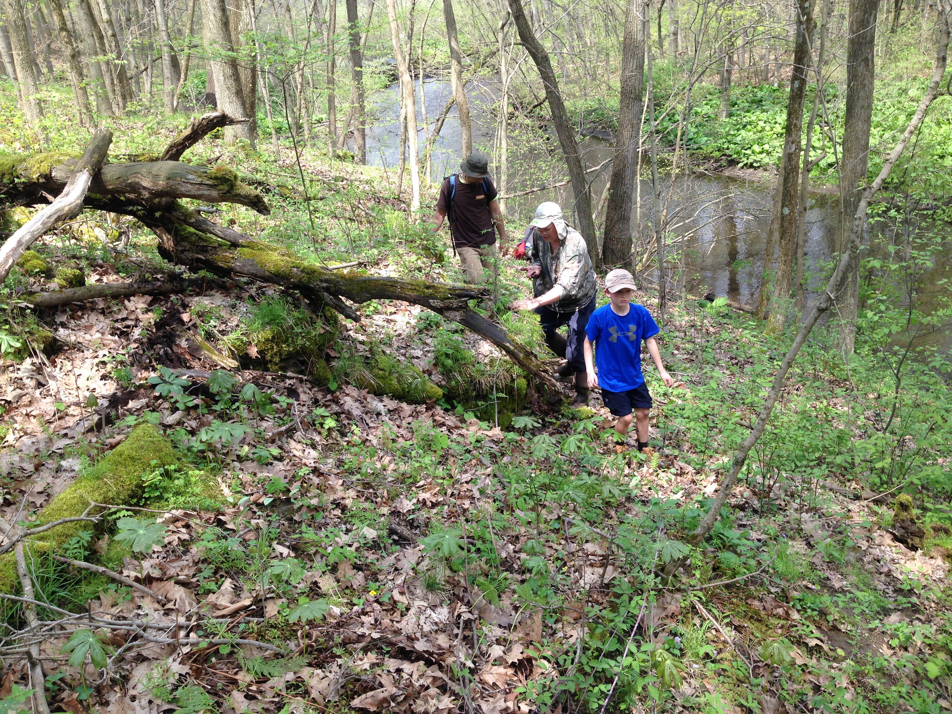 Photo: Pennsylvania Amphibian and Reptile Survey