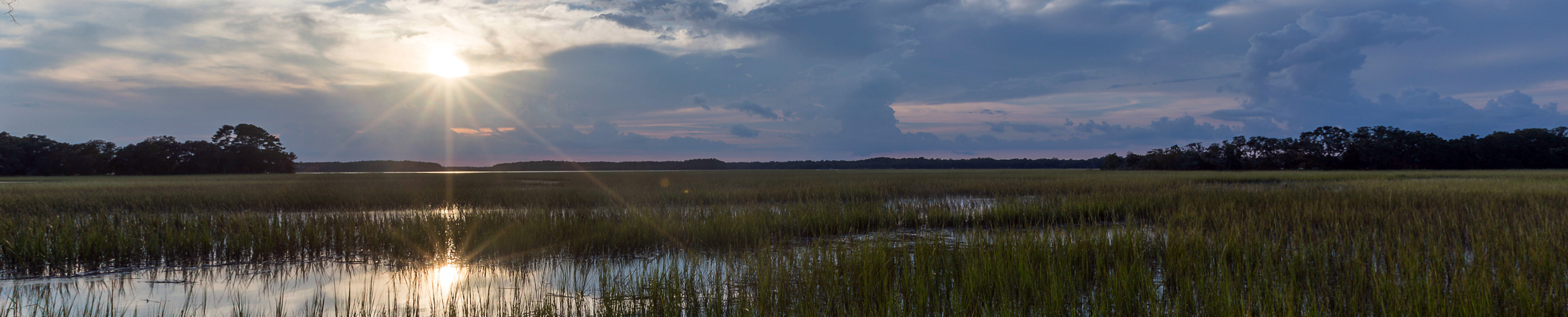 Photo: From Seeds to Shoreline