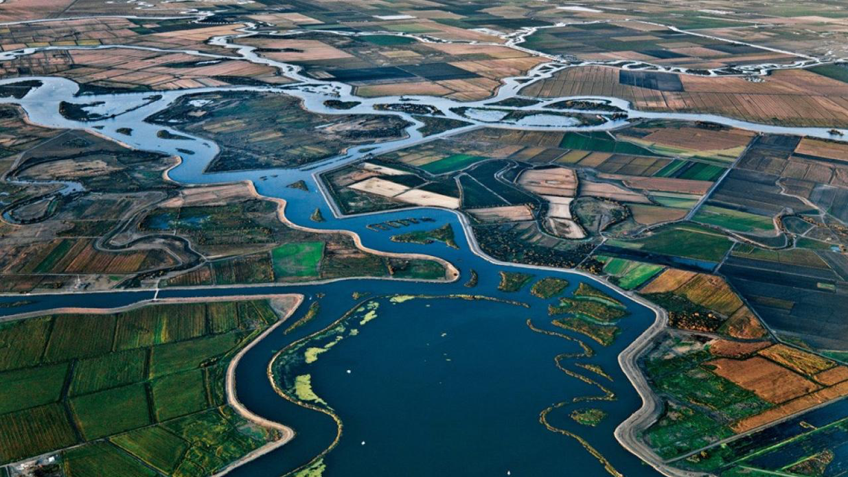 The Delta is a network of more than 1,335 miles of levees.