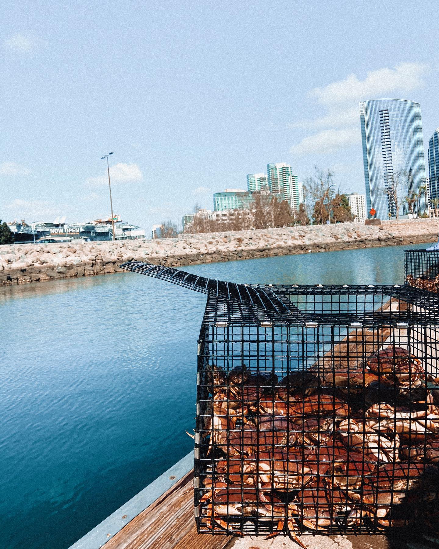 Tuna Harbor Dockside Market/Facebook crabs in a trap, daytime city harbor in background