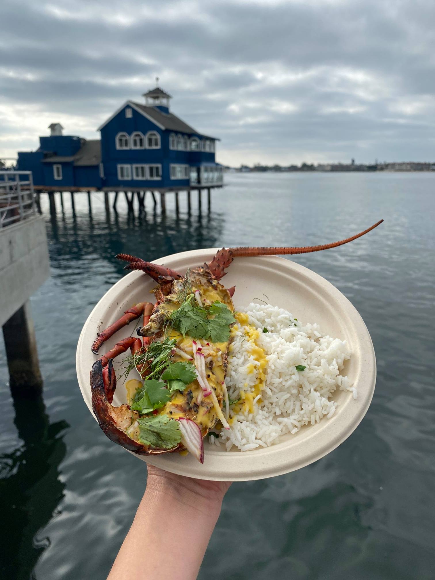 Tuna Harbor Dockside Market/Facebook plate of halved lobster with curry sauce and rice with ocean and building in background