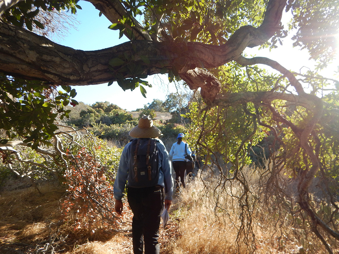 Photo: LA Coastal Naturalist Training