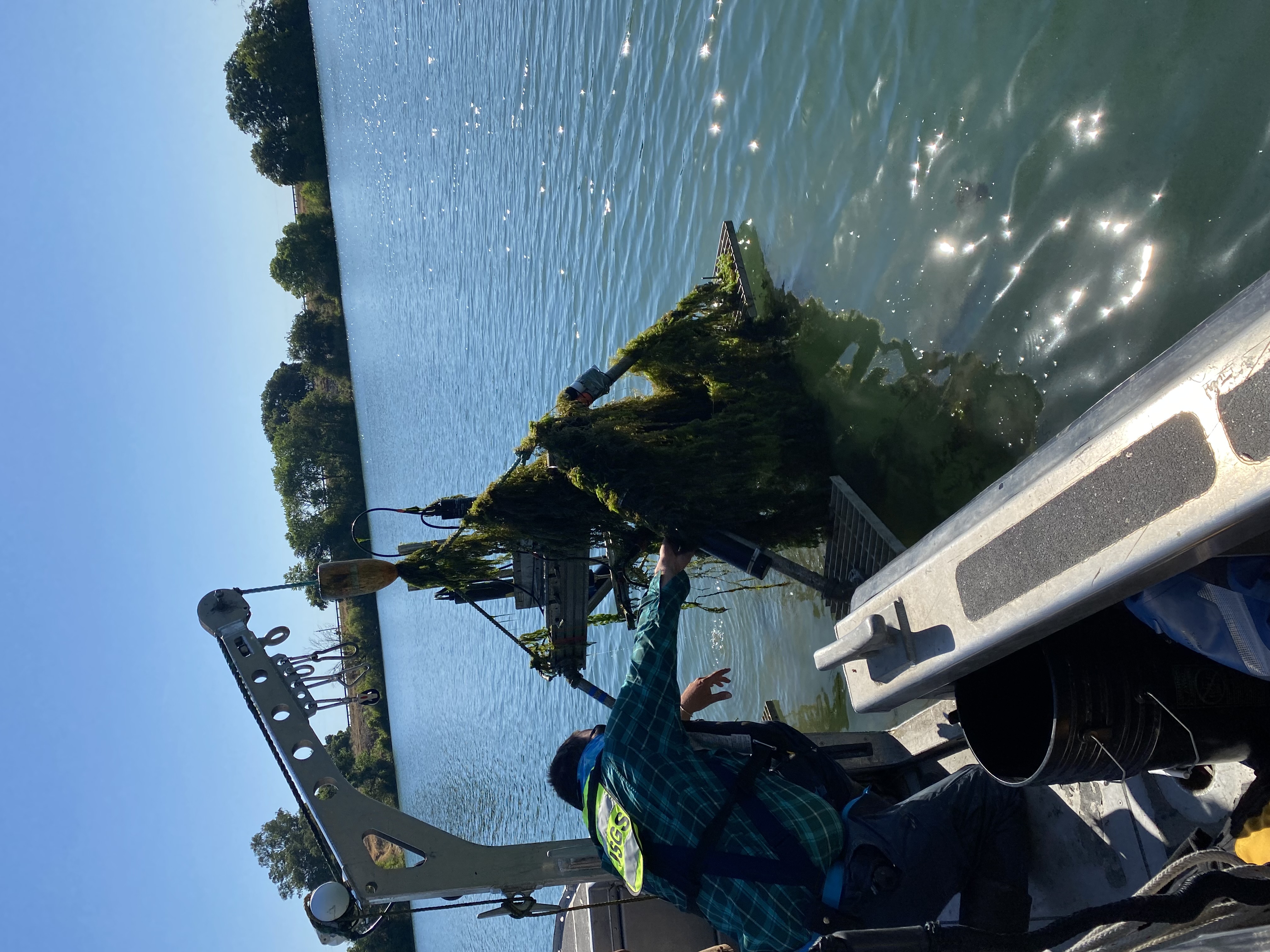 The team pulls their aquatic eddy covariance (ARC) benthic flux system out of the water in the Bay-Delta.