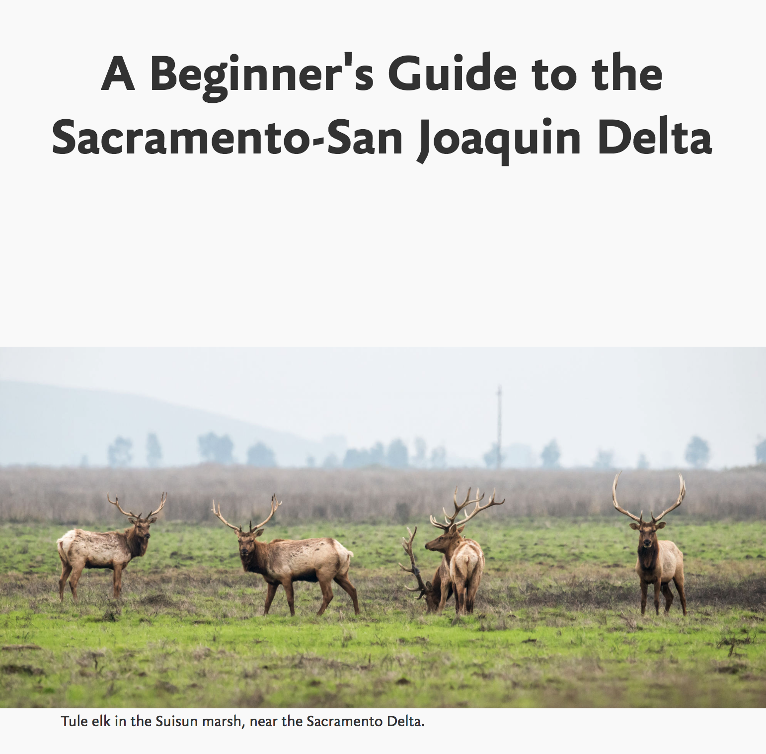 A Beginner's Guide to the Sacramento-San Joaquin Delta