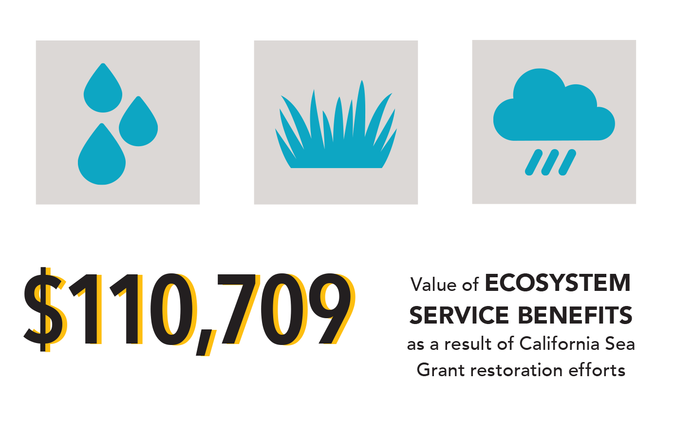 Infographic: $110,709 – Value of ecosystem service benefits as a result of California Sea Grant restoration efforts