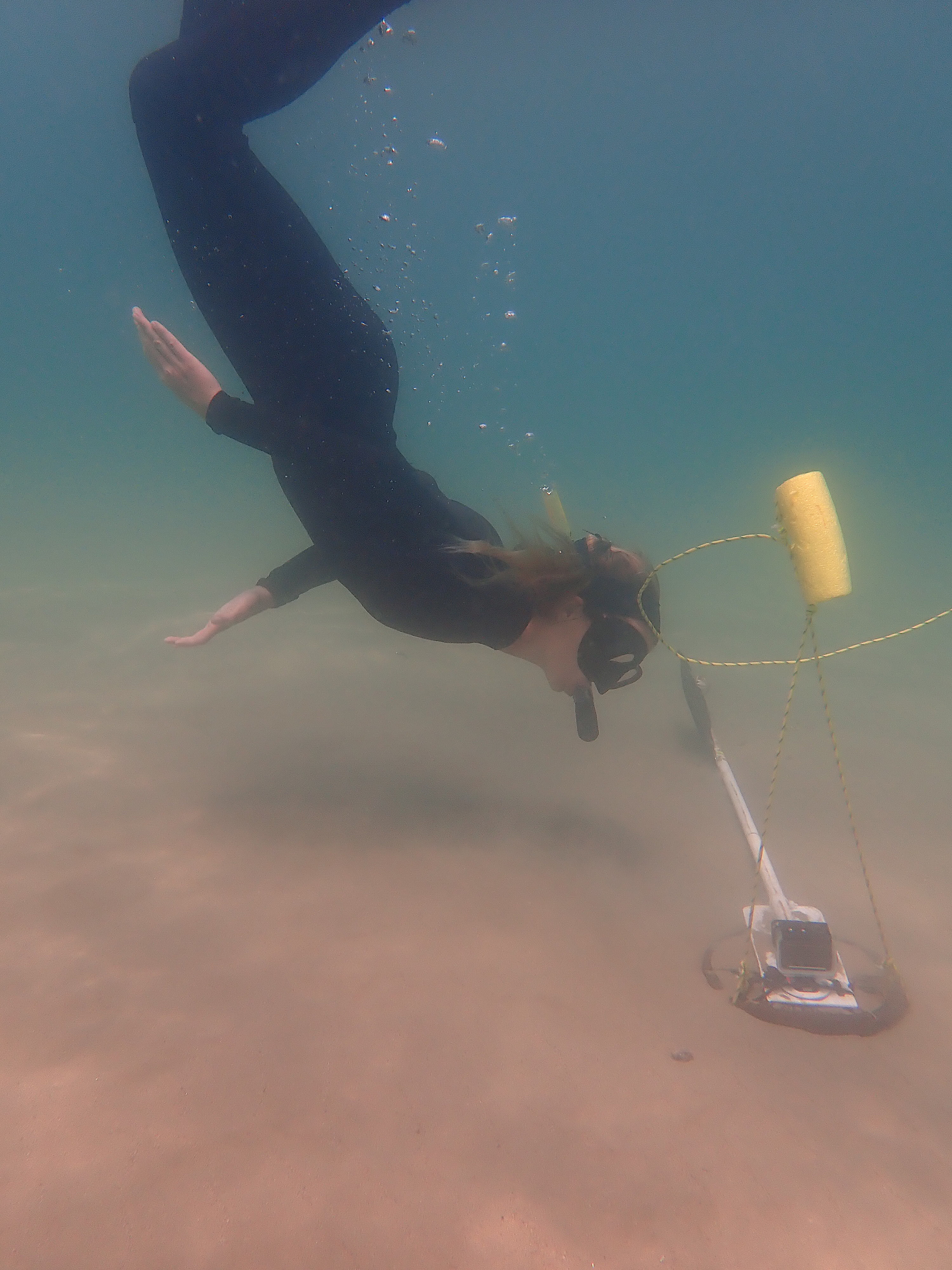 diving with marine science equipment underwater video