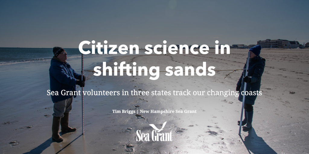 citizen science in shifting sands - two people stand on beach