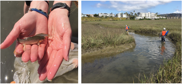 fish in hands (leftP and a marsh (right)