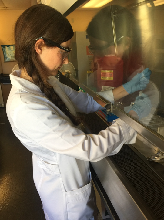 Stack working with condor blood samples in the lab. Photo credit: Jade Johnson