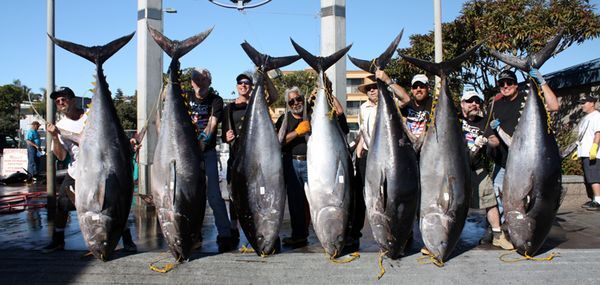 Point Loma Sport fishing