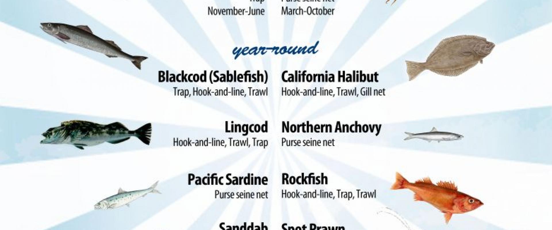 New posters highlight local CA seafood | California Sea Grant