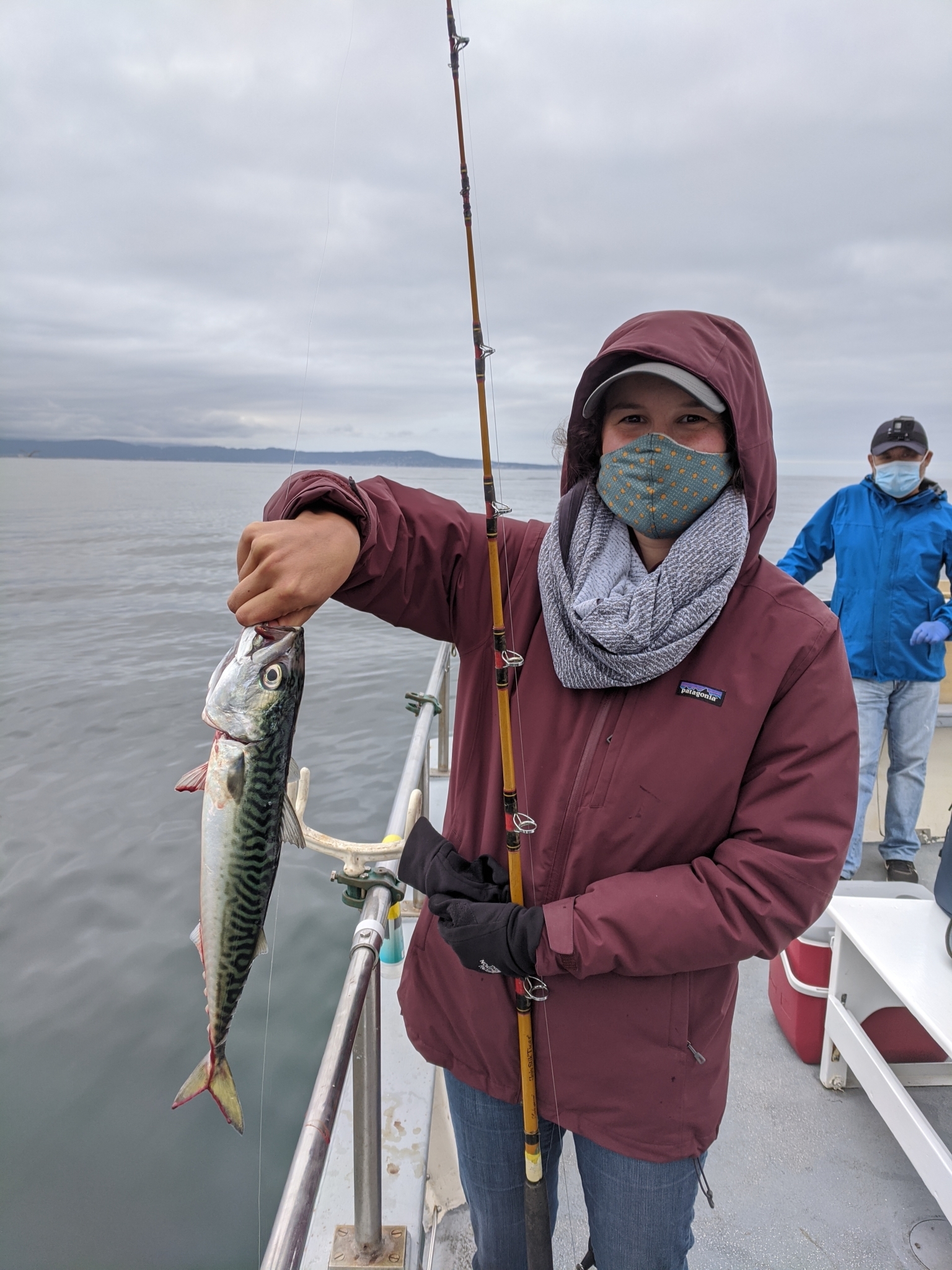 Alex Krohn/iNaturalist fisherman in a boat holds up a pacific mackerel and a fishing pole as another fisherman looks on