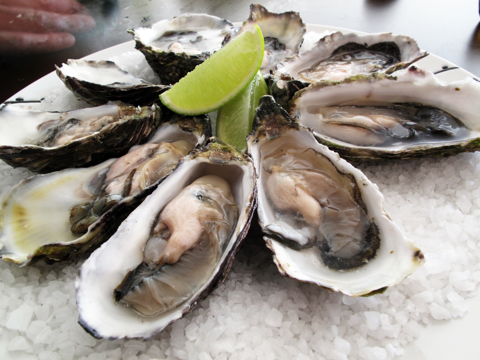 gautsch./flickr shucked oysters displayed with a wedge of lime