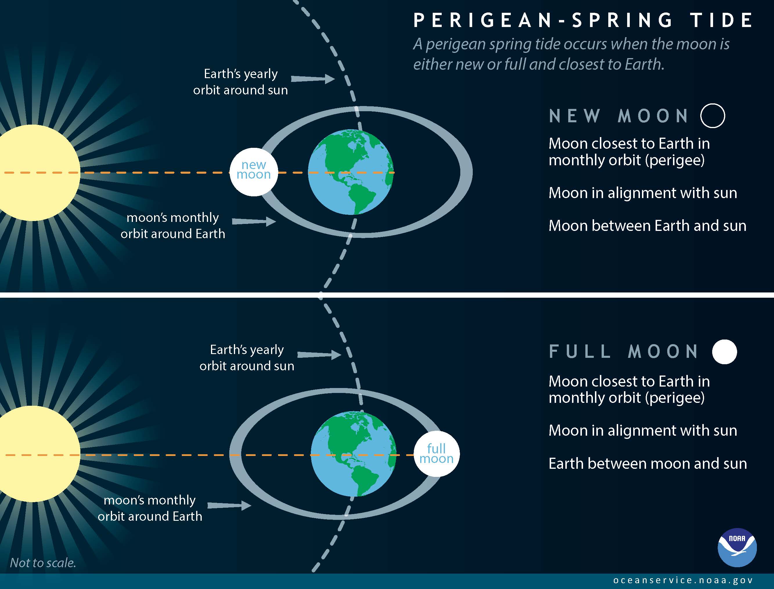 Diagram Of Spring And Neap Tides