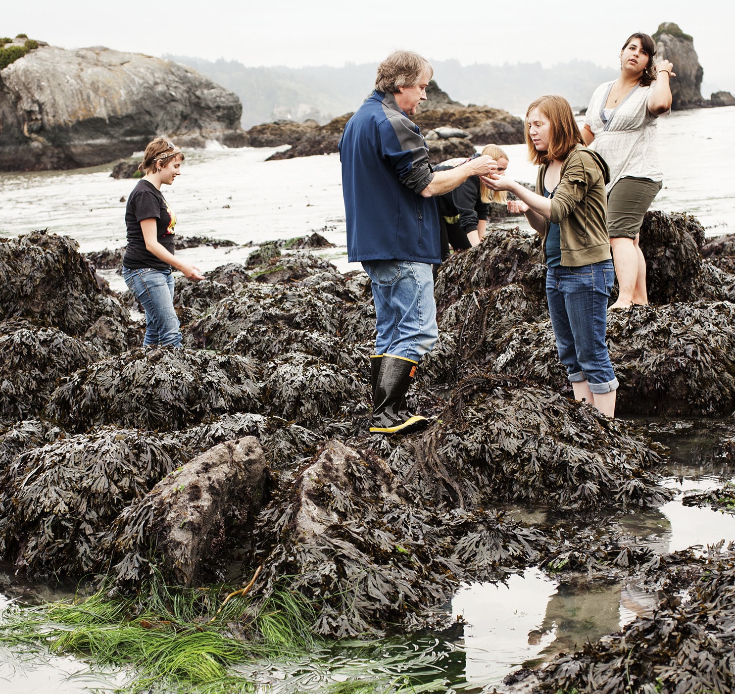 Sean Craig and students explore the North Coast's rocky intertidal habitats. Credit: HSU