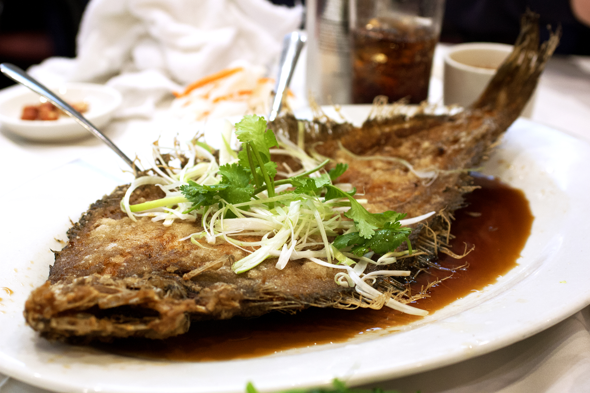 bionicgrrrl/flickr fried flounder with scallion and cilantro garnish and soy sauce