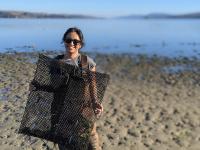 California Sea Grant Graduate Research Fellow Priya Shukla is stress hardening baby oysters. Courtesy of Priya Shukla
