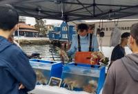 Local fisherman is selling live local crab at an outdoor fish market. 