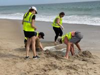 Four volunteers in neon yellow safety vests dig through the sand with their hands at the edge of the ocean as the water of crashing waves retreats back.