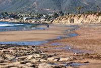 An ecosystem of the pacific ocean is visible during low tide in Pismo Beach with rocks, tide pools, grass and a person walking their dog on the sandy beach.