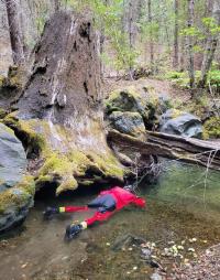 Snorkeling survey in Gray Creek