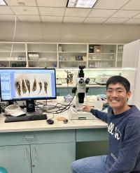 Intern Joshua Suzuki analyzing California yellowtail larval pictures as part of 