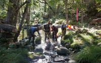 Researchers sampling Porter Creek