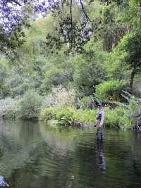 Rachael Ryan standing in a creek
