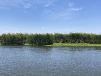 Water and wetlands