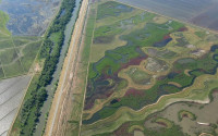 Estuaries outside San Francisco